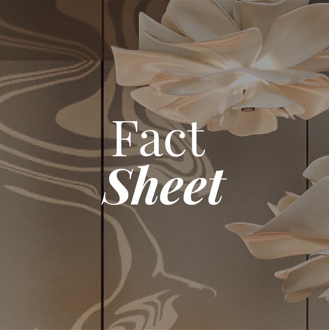 Factsheet