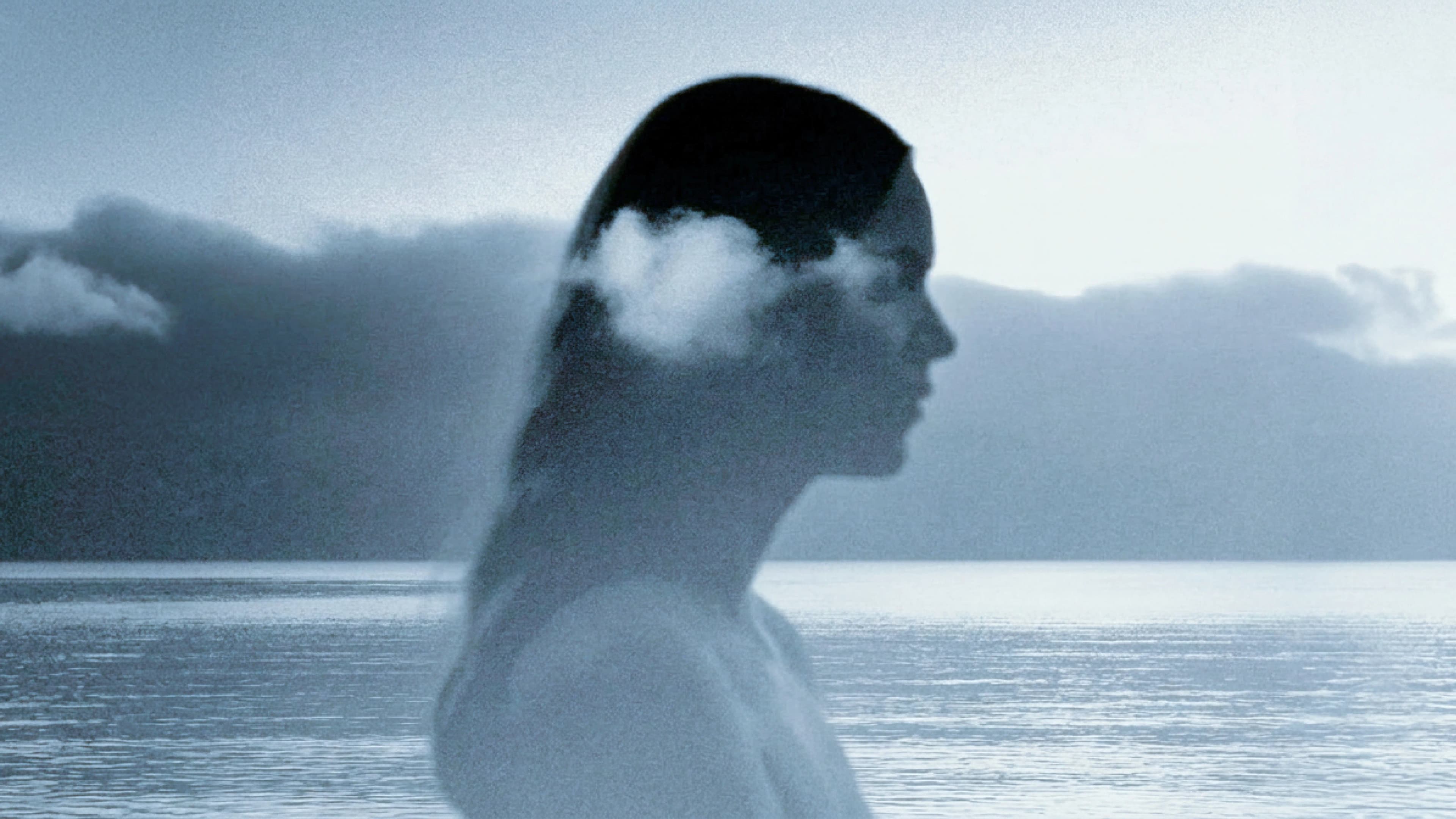 Artistic silhouette feature — Citi Developers